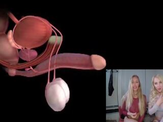 Męski orgazm anatomy explained educational joi: darmowe xxx wideo 85